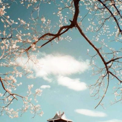 车技大师手游
